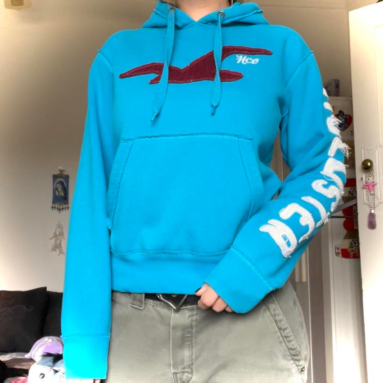 vtg Hollister hoodie